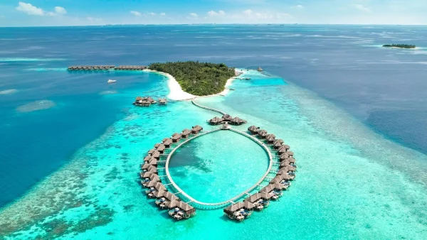 Coco Bodu Hithi