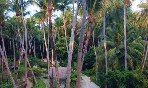 Amilla Maldives