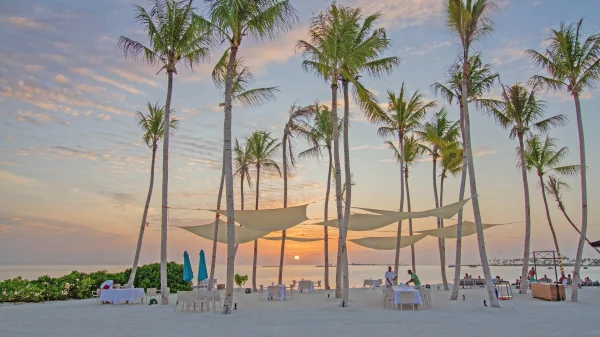 Joy Island Maldives by The Cocoon Collection